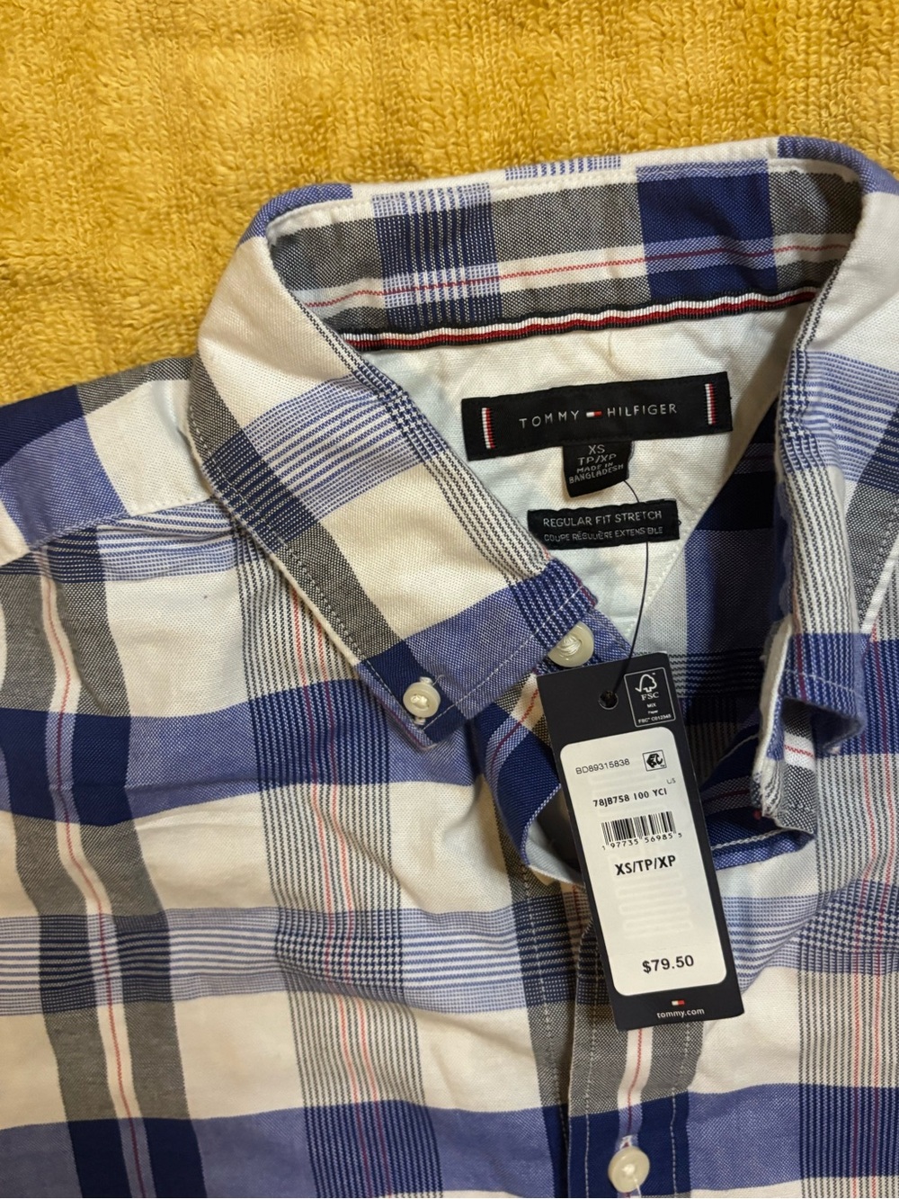 Tommy Hilfiger Men’s Blue and White Plaid Button-Down Shirt